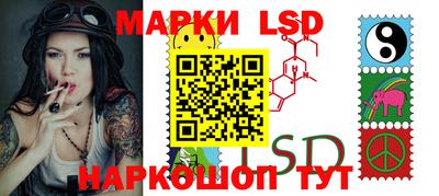 ECSTASY Камышлов