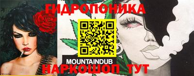ECSTASY Камышлов