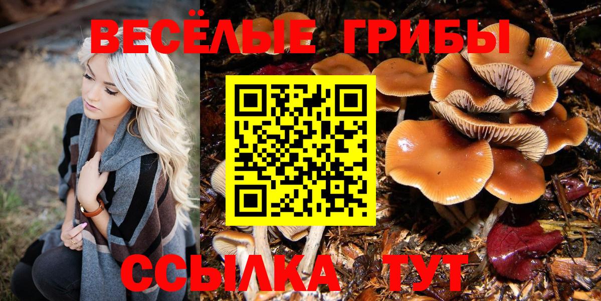 Галлюциногенные грибы Cubensis  Псилоцибиновые грибы мицелий  Коркино  купить закладку  Вход с VPN 