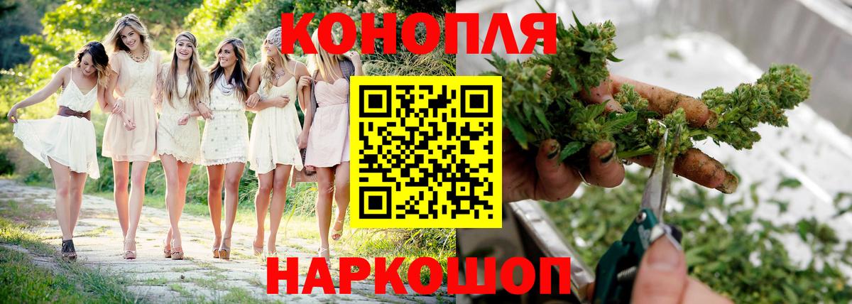 Бошки марихуана план Коркино
